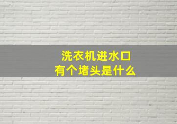 洗衣机进水口有个堵头是什么