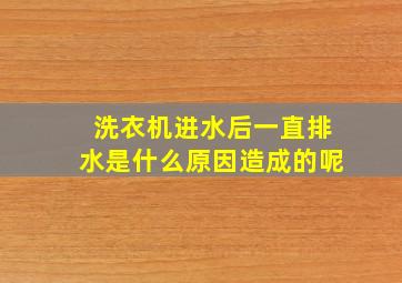 洗衣机进水后一直排水是什么原因造成的呢