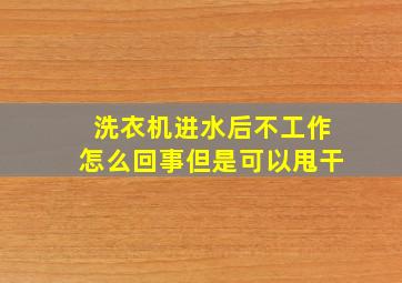 洗衣机进水后不工作怎么回事但是可以甩干