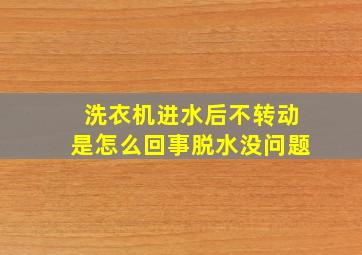 洗衣机进水后不转动是怎么回事脱水没问题