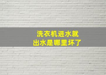 洗衣机进水就出水是哪里坏了