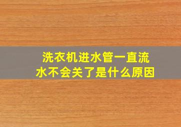 洗衣机进水管一直流水不会关了是什么原因