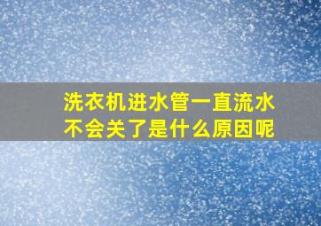 洗衣机进水管一直流水不会关了是什么原因呢