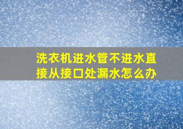 洗衣机进水管不进水直接从接口处漏水怎么办