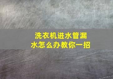 洗衣机进水管漏水怎么办教你一招