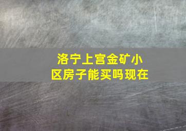 洛宁上宫金矿小区房子能买吗现在