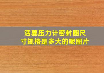 活塞压力计密封圈尺寸规格是多大的呢图片