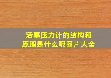 活塞压力计的结构和原理是什么呢图片大全