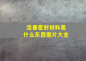 活塞密封材料是什么东西图片大全