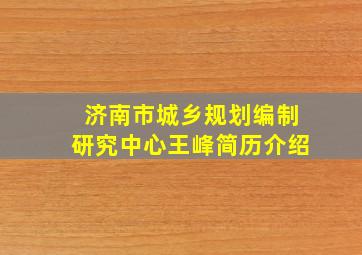 济南市城乡规划编制研究中心王峰简历介绍