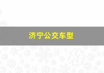 济宁公交车型