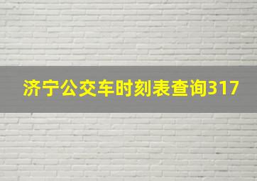 济宁公交车时刻表查询317