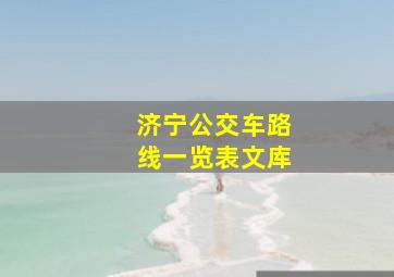 济宁公交车路线一览表文库