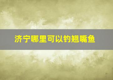 济宁哪里可以钓翘嘴鱼