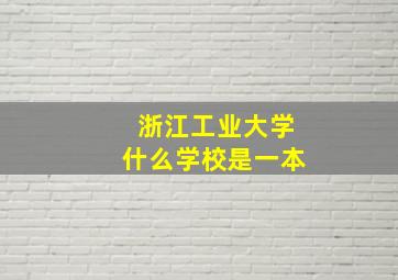 浙江工业大学什么学校是一本