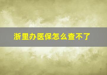 浙里办医保怎么查不了