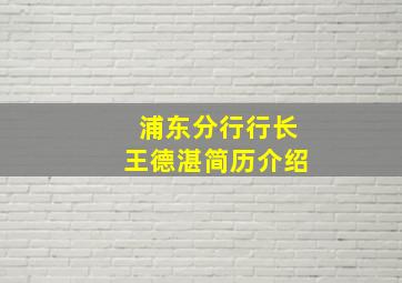 浦东分行行长王德湛简历介绍