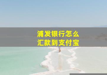 浦发银行怎么汇款到支付宝