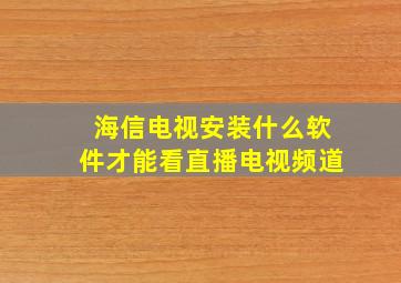 海信电视安装什么软件才能看直播电视频道