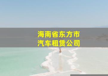 海南省东方市汽车租赁公司