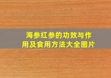 海参红参的功效与作用及食用方法大全图片