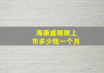 海康威视刚上市多少钱一个月