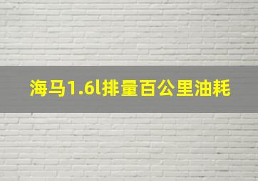 海马1.6l排量百公里油耗