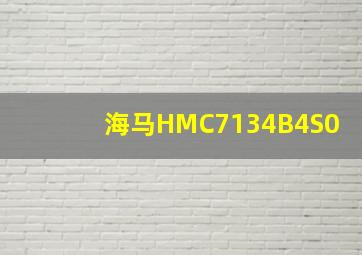 海马HMC7134B4S0