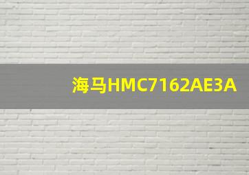 海马HMC7162AE3A