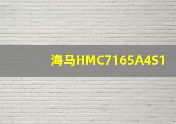 海马HMC7165A4S1