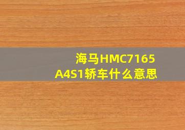 海马HMC7165A4S1轿车什么意思