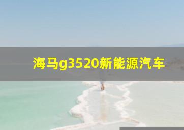 海马g3520新能源汽车