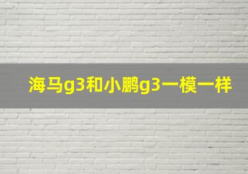 海马g3和小鹏g3一模一样