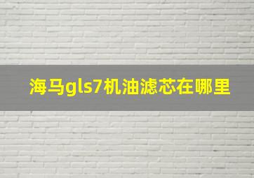 海马gls7机油滤芯在哪里