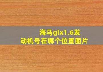 海马glx1.6发动机号在哪个位置图片