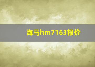 海马hm7163报价