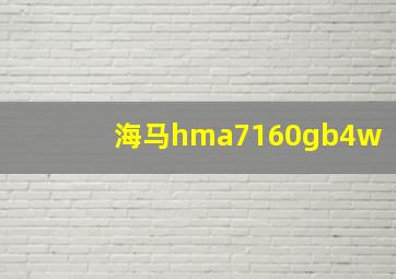 海马hma7160gb4w