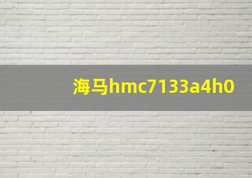 海马hmc7133a4h0