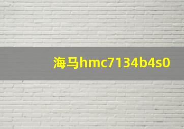 海马hmc7134b4s0