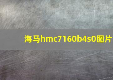 海马hmc7160b4s0图片