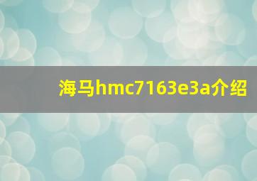 海马hmc7163e3a介绍