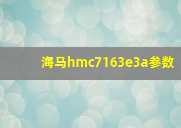 海马hmc7163e3a参数