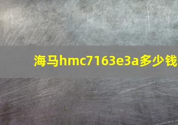 海马hmc7163e3a多少钱