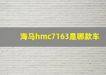 海马hmc7163是哪款车