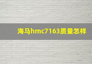 海马hmc7163质量怎样