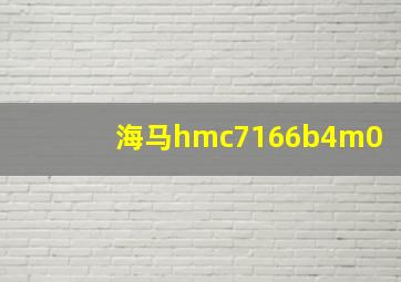 海马hmc7166b4m0