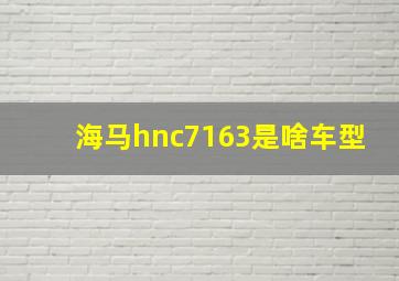 海马hnc7163是啥车型