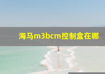 海马m3bcm控制盒在哪