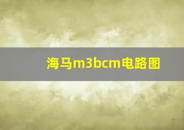 海马m3bcm电路图