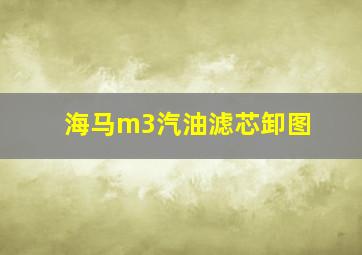 海马m3汽油滤芯卸图